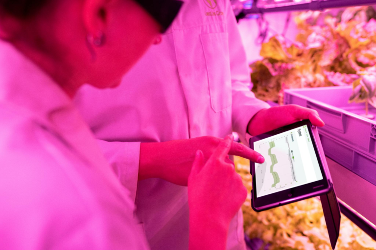 Scientists monitor crop growth in an indoor farm using digital tablets for efficient data analysis.